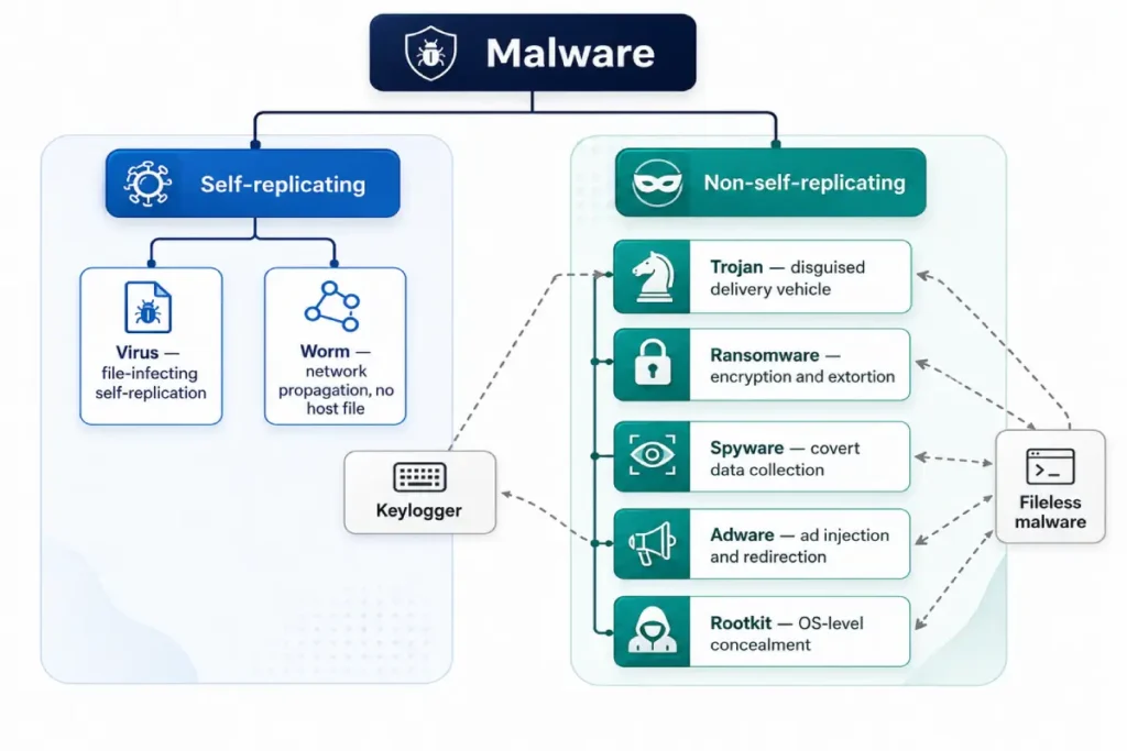 malware vs virus taxonomy diagram — full malware classification tree showing viruses, worms, trojans, ransomware, spyware, adware, rootkits, and fileless malware types
